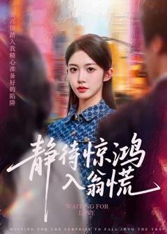 免费在线观看完整版短剧《静待惊鸿入翁慌》