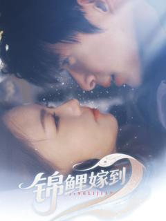 免费在线观看完整版短剧《锦鲤嫁到》