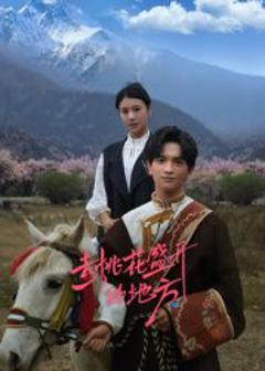 免费在线观看完整版国产剧《去桃花盛开的地方》