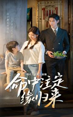 免费在线观看完整版短剧《命中注定缘归来》