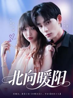 免费在线观看完整版短剧《北向暖阳》