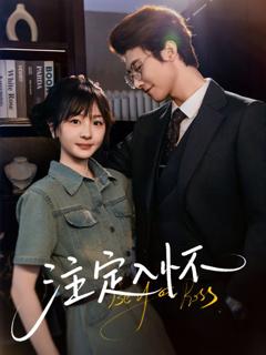 免费在线观看完整版短剧《注定入怀》