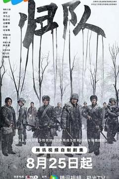 免费在线观看完整版国产剧《归队》