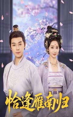 免费在线观看完整版短剧《恰逢雁南归》