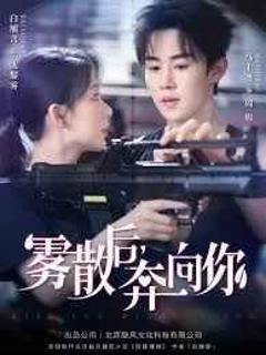 免费在线观看完整版短剧《雾散后奔向你》