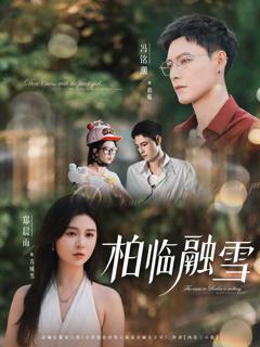 免费在线观看完整版短剧《柏临融雪》