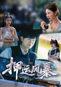 免费在线观看完整版短剧《押运风暴》
