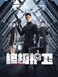 免费在线观看《终极护卫》