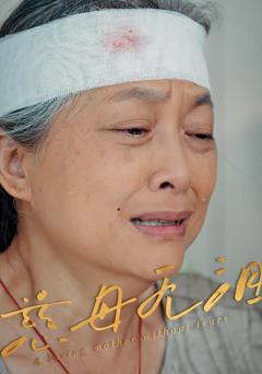 免费在线观看完整版短剧《慈母无泪》
