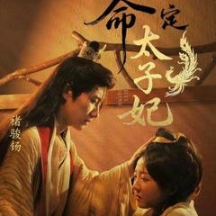 免费在线观看完整版短剧《命定太子妃》