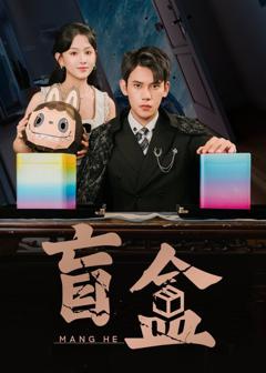 免费在线观看完整版短剧《盲盒》