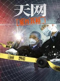 免费在线观看完整版国产剧《天网：案件真相》