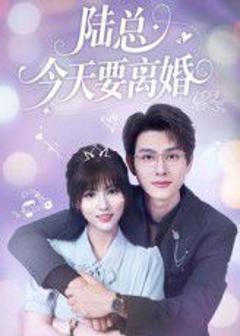 免费在线观看完整版短剧《陆总今天要离婚》