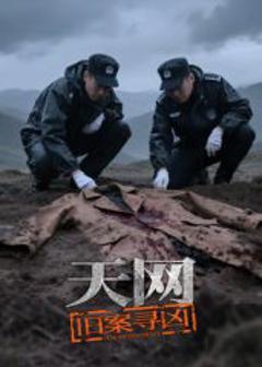 免费在线观看《天网：旧案寻凶》