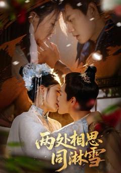 免费在线观看完整版短剧《两处相思同淋雪》