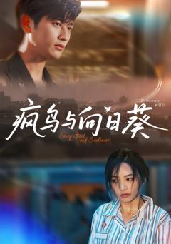 免费在线观看完整版短剧《疯鸟与向日葵》