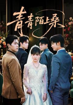 免费在线观看完整版短剧《青青陌上桑》