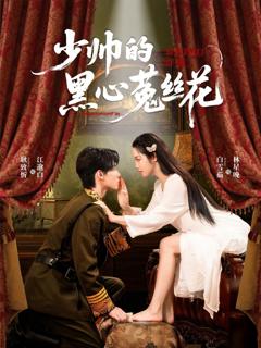 免费在线观看完整版短剧《少帅的黑心菟丝花》