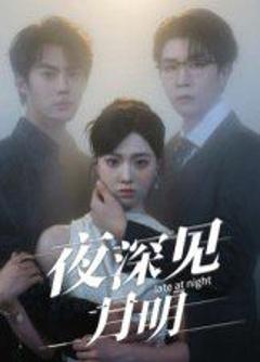 免费在线观看完整版短剧《夜深见月明》