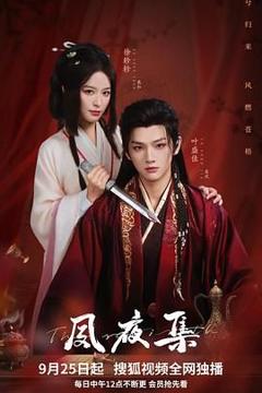 免费在线观看完整版国产剧《夙夜集》