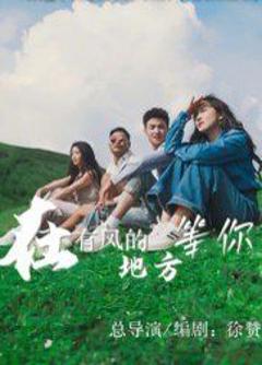 免费在线观看完整版短剧《在有风的地方等你》