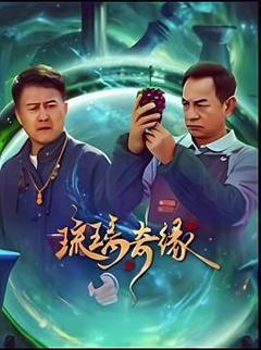 免费在线观看完整版国产剧《琉璃奇缘》