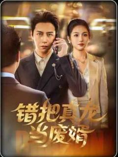免费在线观看完整版短剧《错把真龙当废婿》