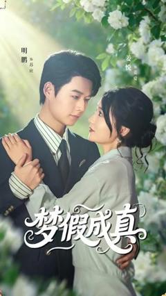 免费在线观看完整版短剧《梦假成真》