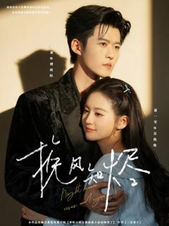 免费在线观看完整版短剧《挽风知烬》