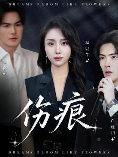 免费在线观看完整版短剧《伤痕》
