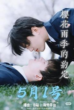 免费在线观看完整版国产剧《樱花雨季的约定》