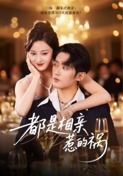 免费在线观看完整版短剧《都是相亲惹的祸》