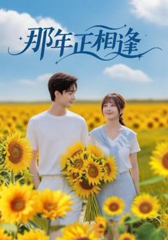 免费在线观看完整版短剧《那年正相逢》