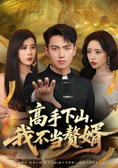 高手下山我不当赘婿