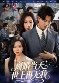 免费在线观看完整版短剧《离婚当天世上再无我》