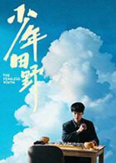 免费在线观看完整版国产剧《少年田野》