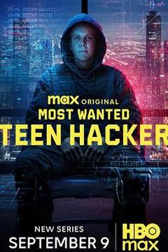 免费在线观看《头号通缉犯：少年黑客》