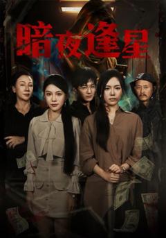 免费在线观看完整版短剧《暗夜逢星》