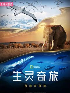 免费在线观看《生灵奇旅》
