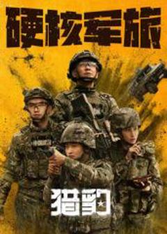 免费在线观看完整版国产剧《猎豹》
