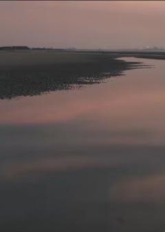 免费在线观看《两个爸爸的故事​》