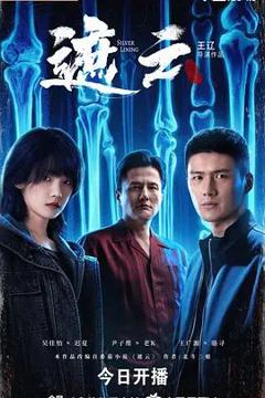 免费在线观看完整版国产剧《遮云》