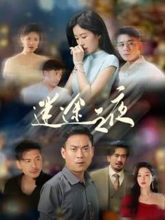 免费在线观看完整版国产剧《迷途之夜》