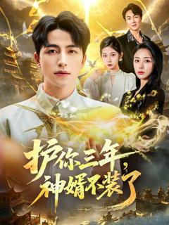 免费在线观看完整版短剧《护你三年，神婿不装了》