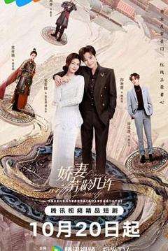 免费在线观看完整版国产剧《娇妻芳龄几许》