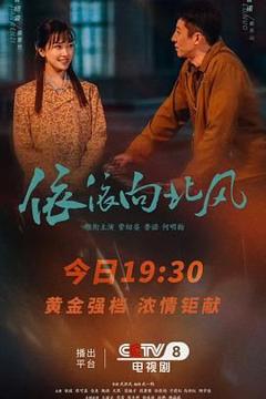 免费在线观看完整版国产剧《依依向北风》