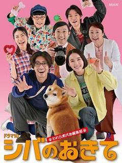 免费在线观看完整版日韩剧《柴犬的规矩我们这群狗痴编辑部》