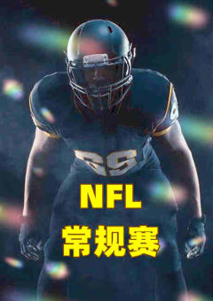 NFL常规赛-熊vs喷气机-20221128