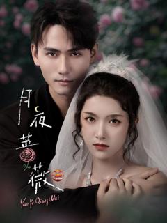 免费在线观看完整版短剧《月夜蔷薇》