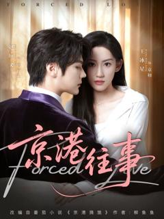 免费在线观看完整版短剧《京港往事》